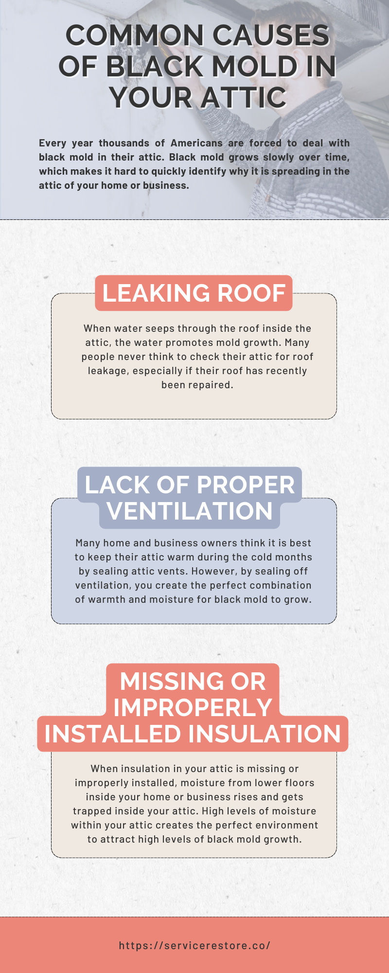 COMMON CAUSES OF BLACK MOLD IN YOUR ATTIC
