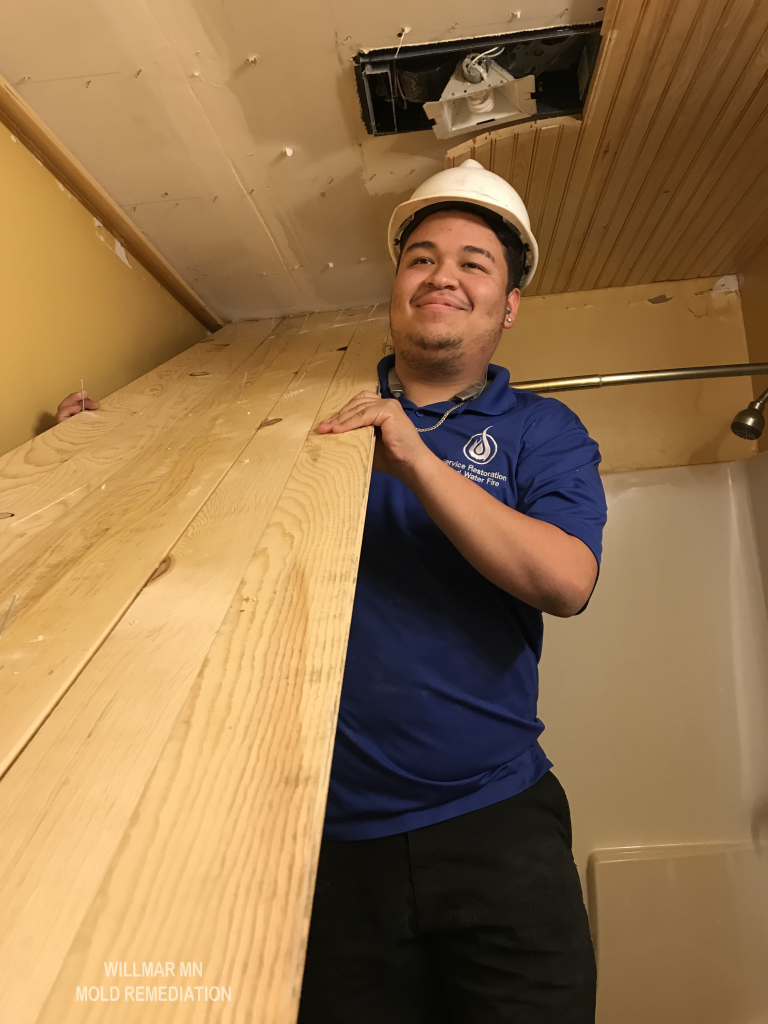 WILLMAR MN MOLD REMEDIATION